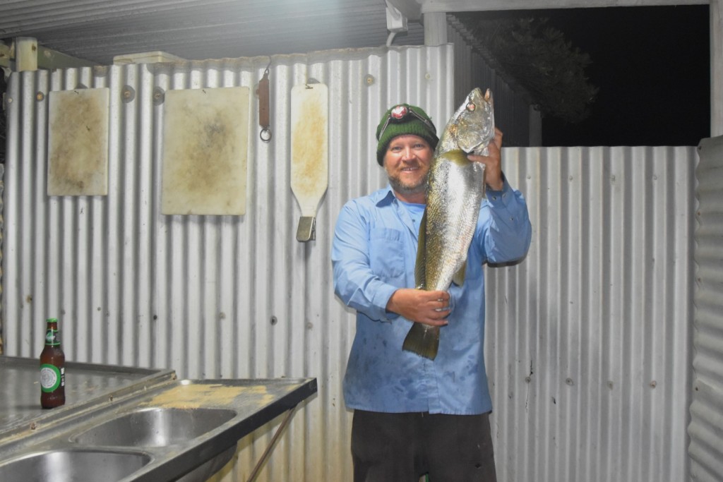A legal size Mulloway