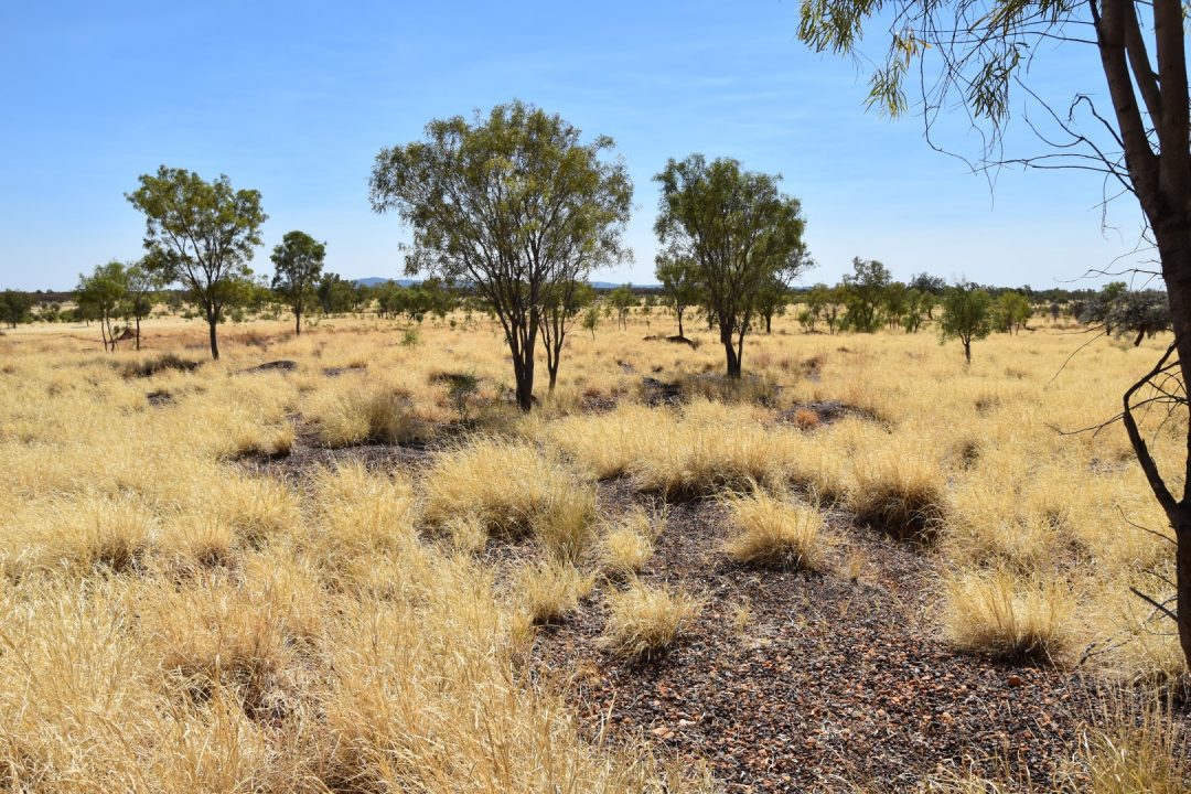 Fossicking in the NT Have Home Will Travel